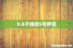 0.8子线绑5号伊豆