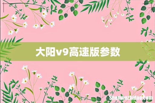大阳v9高速版参数
