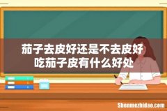 茄子去皮好还是不去皮好 吃茄子皮有什么好处
