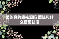 茵陈真的能祛湿吗 茵陈和什么搭配祛湿