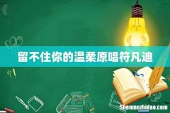 留不住你的温柔原唱符凡迪