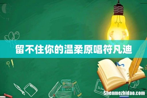 留不住你的温柔原唱符凡迪