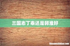 三国志丁奉还是郭淮好