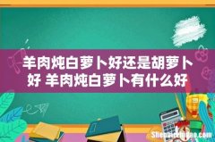 羊肉炖白萝卜好还是胡萝卜好 羊肉炖白萝卜有什么好处
