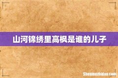 山河锦绣里高枫是谁的儿子