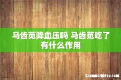 马齿苋降血压吗 马齿苋吃了有什么作用