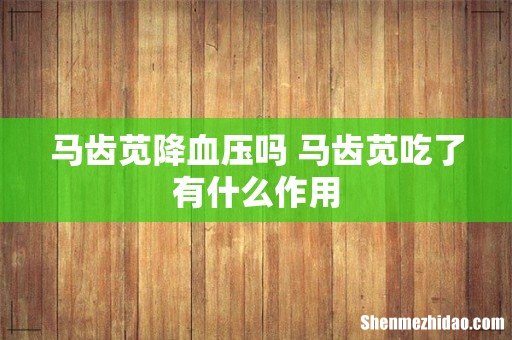 马齿苋降血压吗 马齿苋吃了有什么作用