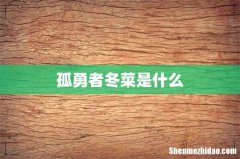 孤勇者冬菜是什么