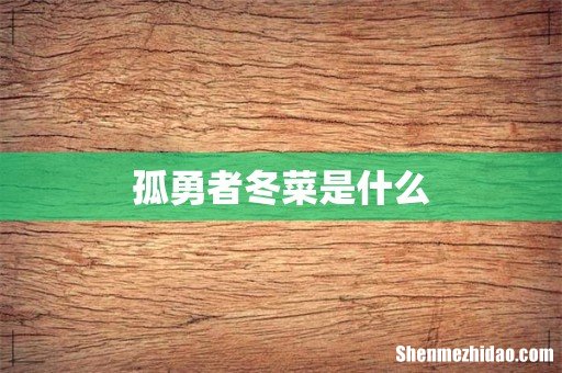孤勇者冬菜是什么