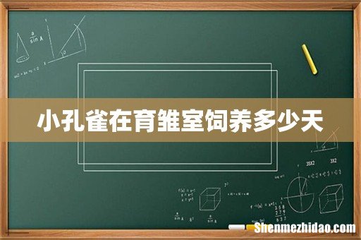 小孔雀在育雏室饲养多少天