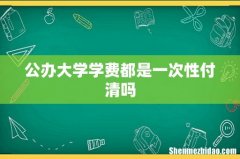 公办大学学费都是一次性付清吗