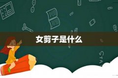 女剪子是什么