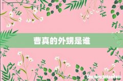 曹真的外甥是谁