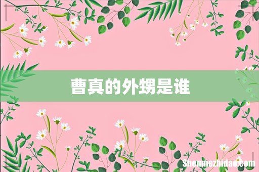 曹真的外甥是谁