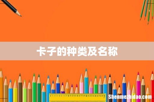 卡子的种类及名称