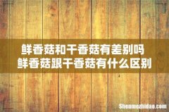 鲜香菇和干香菇有差别吗 鲜香菇跟干香菇有什么区别