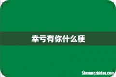 幸亏有你什么梗
