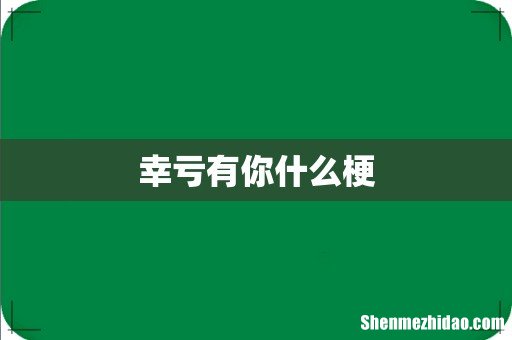 幸亏有你什么梗
