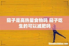 茄子是高热量食物吗 茄子吃生的可以减肥吗