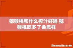 猕猴桃和什么榨汁好喝 猕猴桃吃多了会怎样