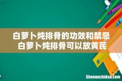 白萝卜炖排骨的功效和禁忌 白萝卜炖排骨可以放黄芪吗