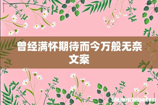 曾经满怀期待而今万般无奈文案