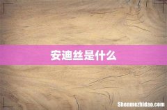 安迪丝是什么