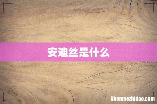 安迪丝是什么
