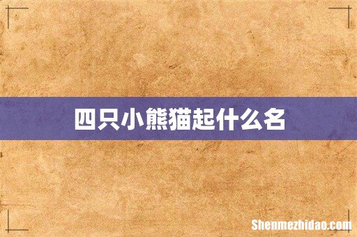 四只小熊猫起什么名