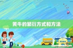 黄牛的繁衍方式和方法