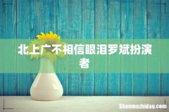 北上广不相信眼泪罗斌扮演者