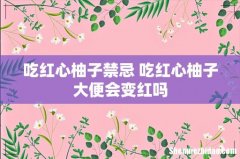 吃红心柚子禁忌 吃红心柚子大便会变红吗