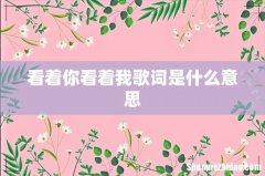 看着你看着我歌词是什么意思