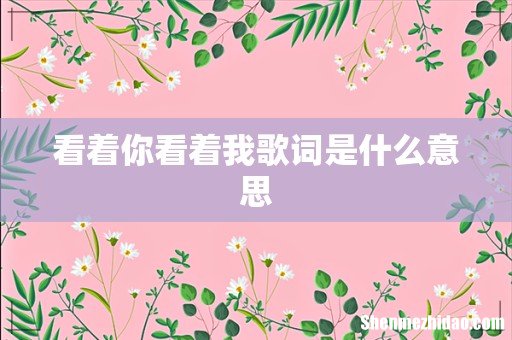 看着你看着我歌词是什么意思