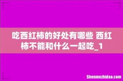 吃西红柿的好处有哪些 西红柿不能和什么一起吃_1
