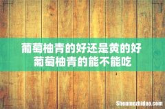 葡萄柚青的好还是黄的好 葡萄柚青的能不能吃