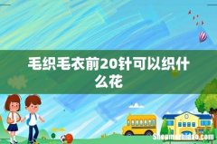 毛织毛衣前20针可以织什么花