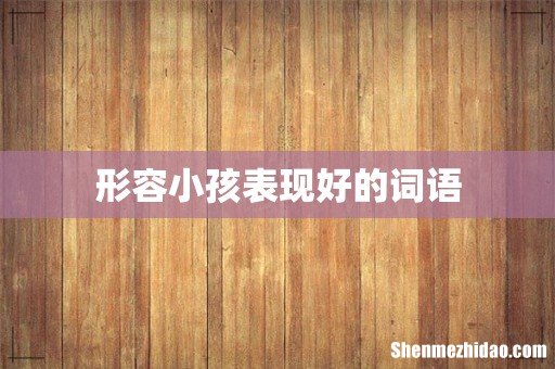 形容小孩表现好的词语