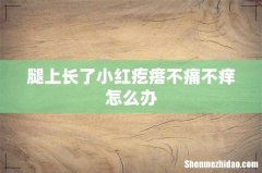 腿上长了小红疙瘩不痛不痒怎么办