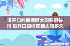 没开口的榴莲晒太阳熟得快吗 没开口的榴莲晒太阳多久熟