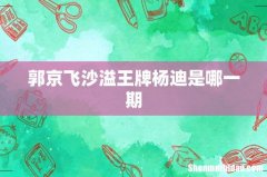 郭京飞沙溢王牌杨迪是哪一期