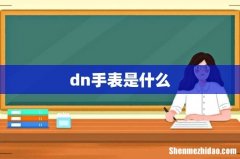 dn手表是什么