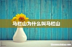 马栏山为什么叫马栏山