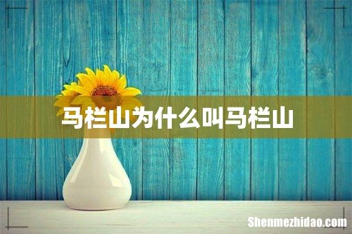 马栏山为什么叫马栏山