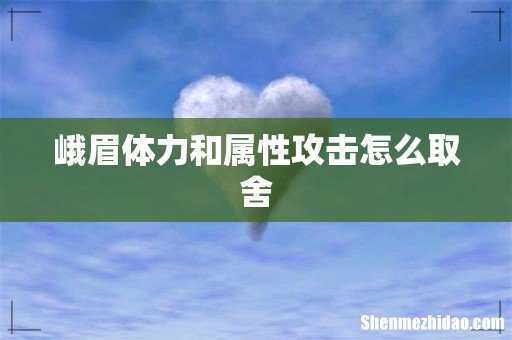 峨眉体力和属性攻击怎么取舍