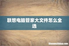 联想电脑管家大文件怎么全选
