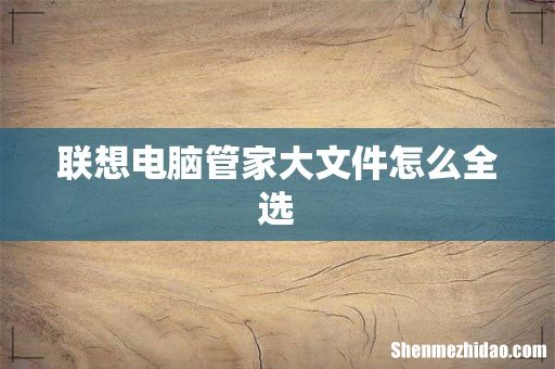 联想电脑管家大文件怎么全选