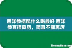 西洋参搭配什么喝最好 西洋参百搭良药，简直不能再厉害了！