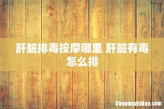 肝脏排毒按摩哪里 肝脏有毒怎么排