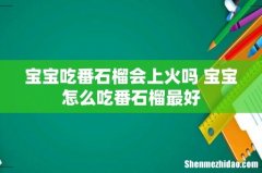 宝宝吃番石榴会上火吗 宝宝怎么吃番石榴最好